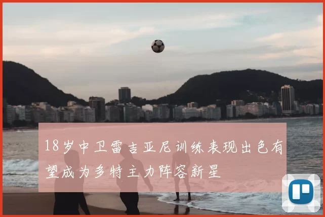 18岁中卫雷吉亚尼训练表现出色有望成为多特主力阵容新星