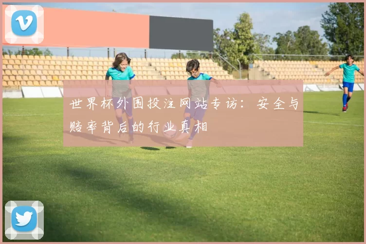 世界杯外围投注网站专访:安全与赔率背后的行业真相