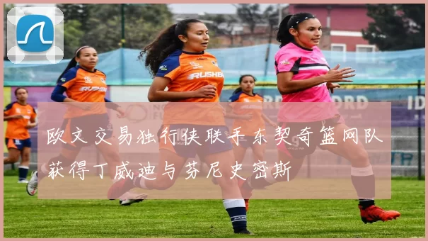 欧文交易独行侠联手东契奇篮网队获得丁威迪与芬尼史密斯