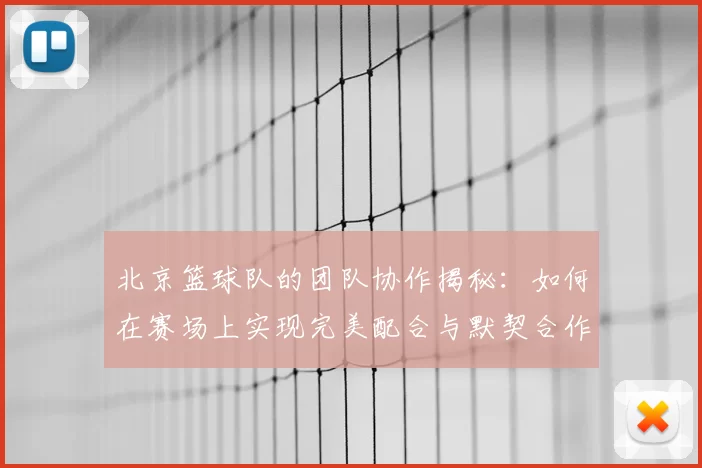 北京篮球队的团队协作揭秘：如何在赛场上实现完美配合与默契合作