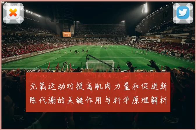 无氧运动对提高肌肉力量和促进新陈代谢的关键作用与科学原理解析