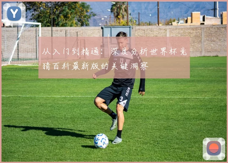 从入门到精通:深度分析世界杯竞猜百科最新版的关键洞察
