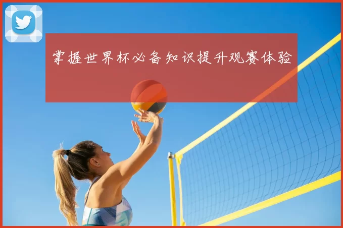 掌握世界杯必备知识提升观赛体验