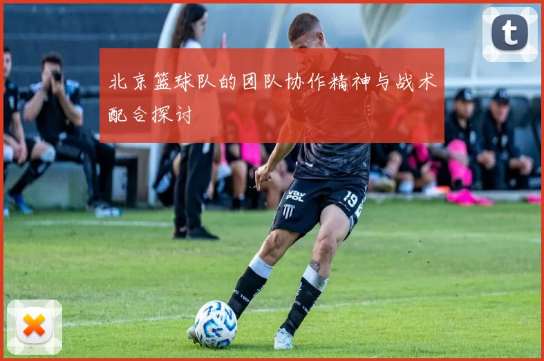北京篮球队的团队协作精神与战术配合探讨