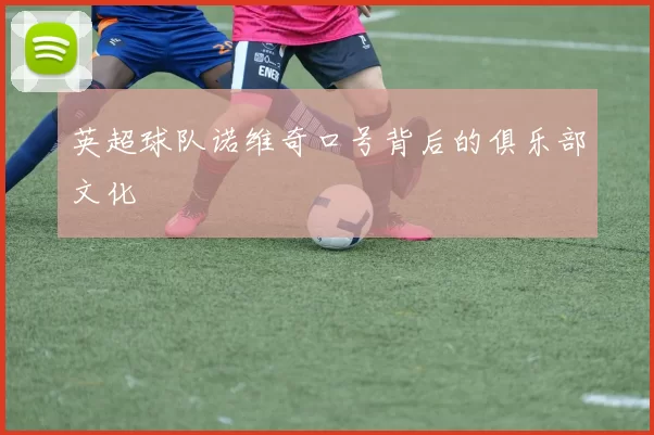 英超球队诺维奇口号背后的俱乐部文化