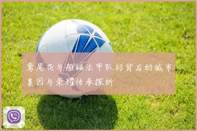 鸢尾花与船锚法甲队标背后的城市基因与荣耀传承探析