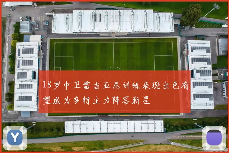 18岁中卫雷吉亚尼训练表现出色有望成为多特主力阵容新星