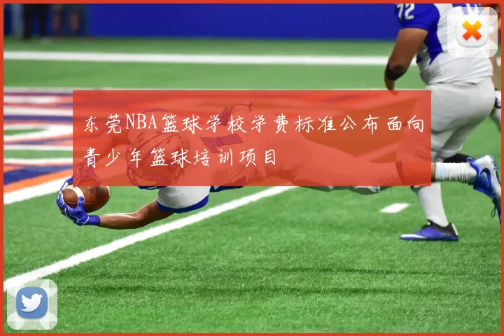 东莞NBA篮球学校学费标准公布面向青少年篮球培训项目