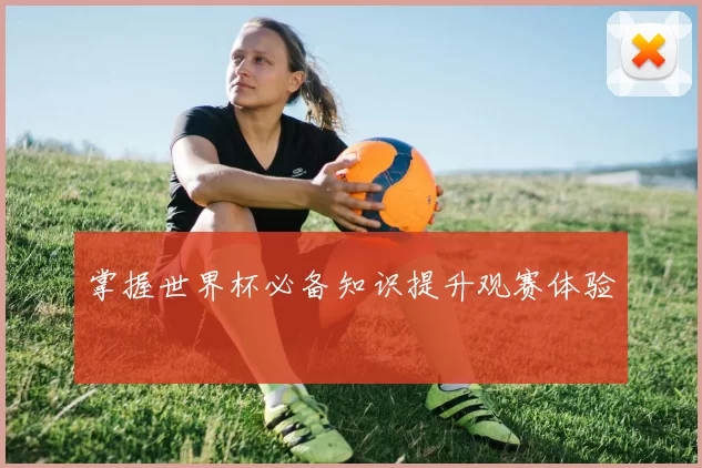 掌握世界杯必备知识提升观赛体验