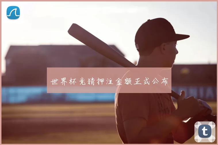 世界杯竞猜押注金额正式公布