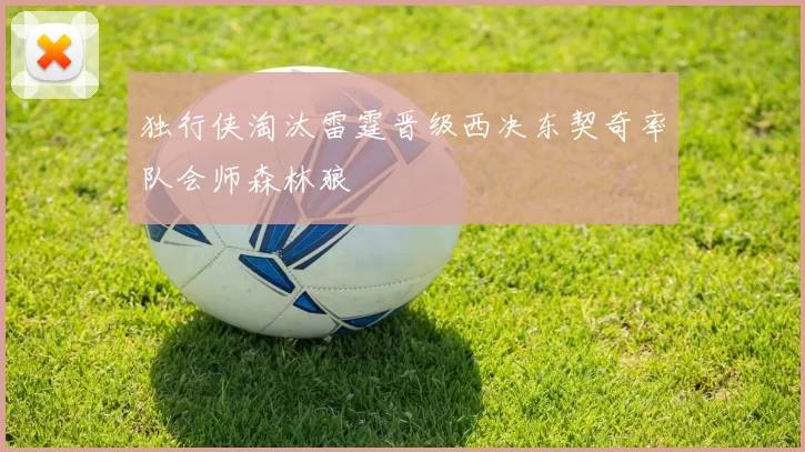 独行侠淘汰雷霆晋级西决东契奇率队会师森林狼