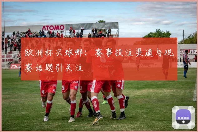 欧洲杯买球哪：赛事投注渠道与观赛话题引关注