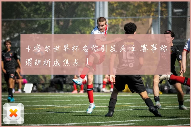 卡塔尔世界杯名称引发关注 赛事称谓辨析成焦点_1