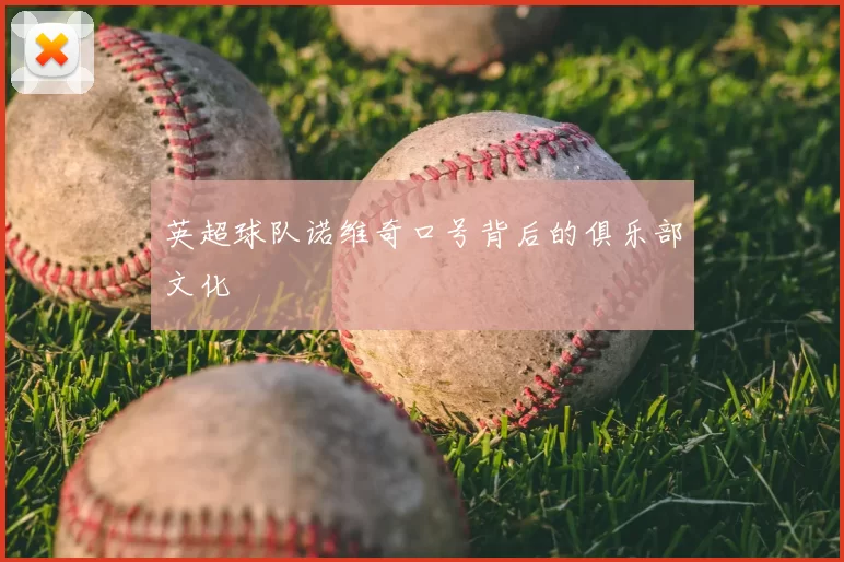 英超球队诺维奇口号背后的俱乐部文化
